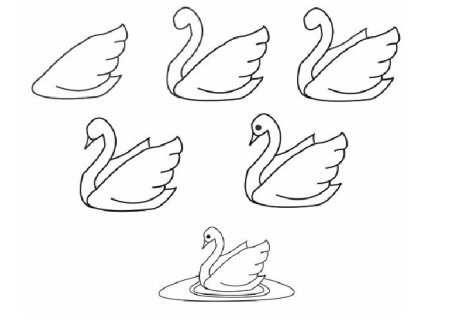 Лебедь рисунок карандашом для детей легкий