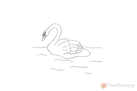 Как нарисовать лебедя поэтапно