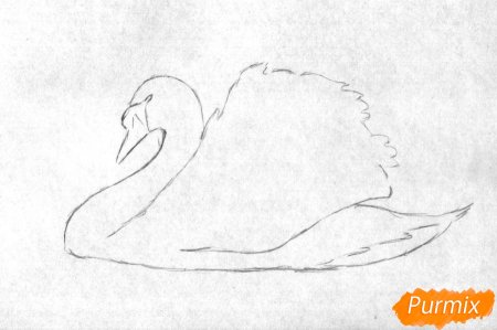 Лебедь из сказки о царе Салтане раскраска