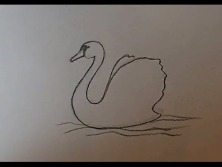 Царица лебедь рисунок поэтапно