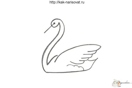 Как нарисовать лебедя поэтапно