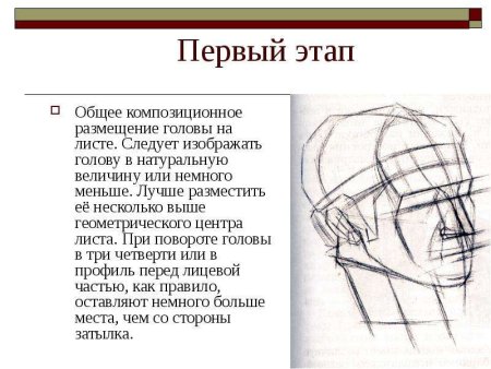 Порядок построения головы человека