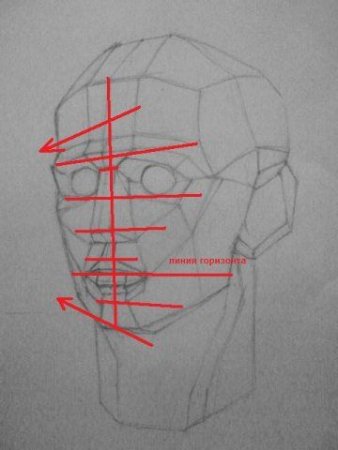 Построение обрубовки головы