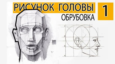 Пропорции головы человека обрубовка поэтапно