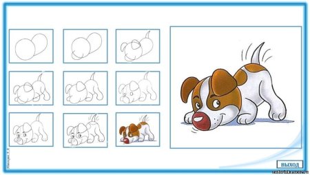 Как легко нарисовать собаку ребенку 7 лет
