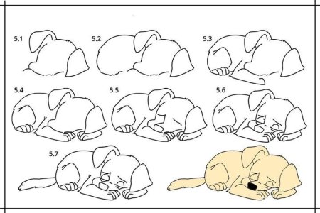 Корги рисунок пошагово