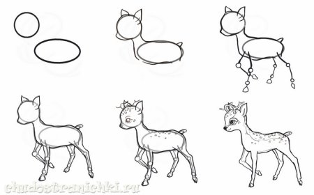 Рисование Дикие животные