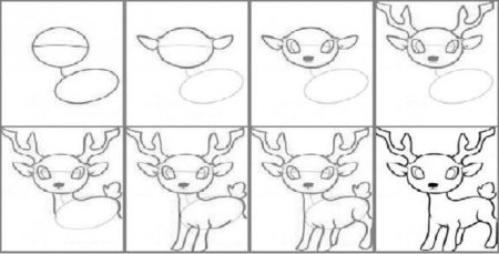 Учимся рисовать косулю