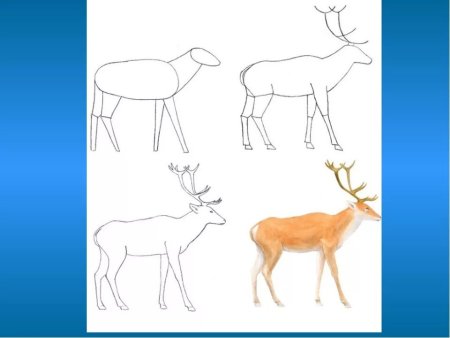 Рисование олененка пошагово