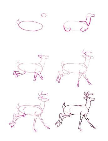 Пошаговое рисование оленя
