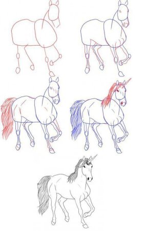 Поэтапный рисунок единорога