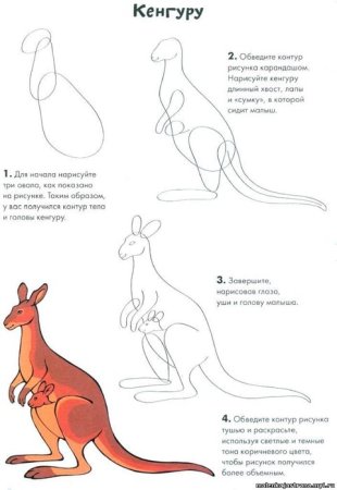 Рисунок кенгуру пошагово