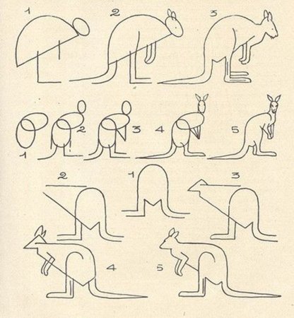 Поэтапное рисование кенгуру для детей