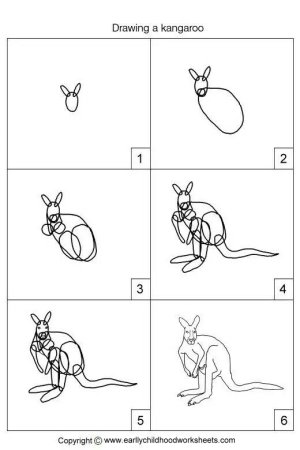 Рисование кенгуру подготовительная группа