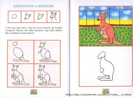Поэтапное рисование кенгуру