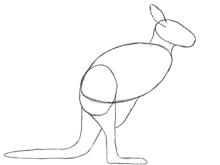 Наброски животных кенгуру