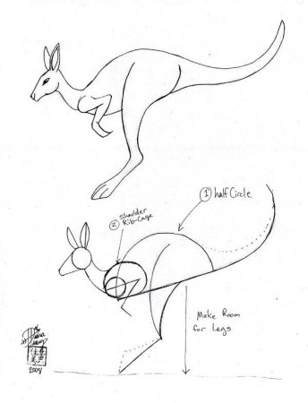 Как нарисовать кенгуру
