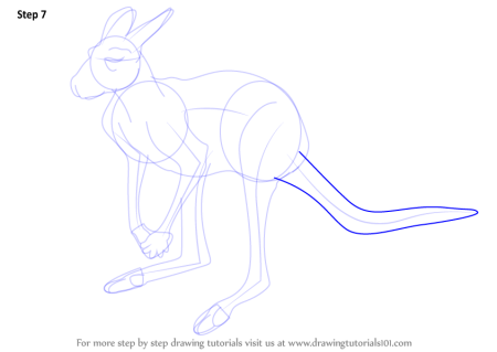 Кенгуру рисунок для детей