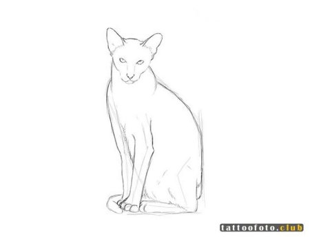 Сфинкс рисунок карандашом по этапам