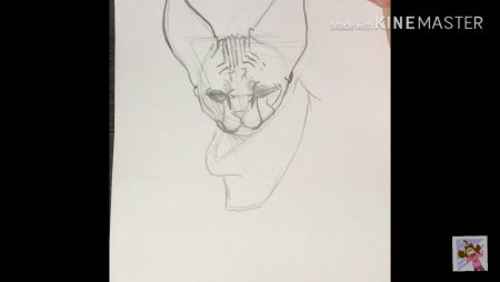 Поэтапное рисование сфинкса