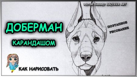 Доберман референс для рисования