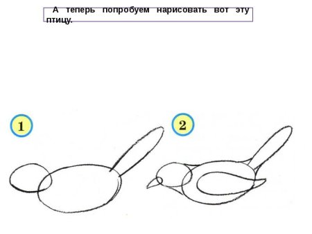 Синие и красные птицы рисование в старшей группе