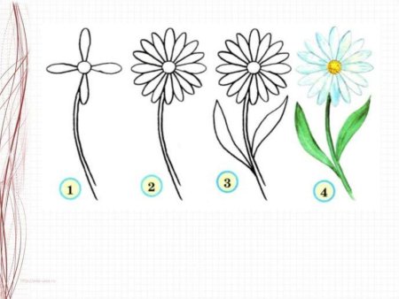 Схемы рисования цветов для детей