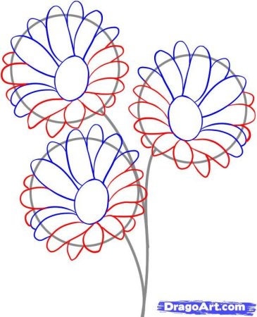 Поэтапное рисование астры