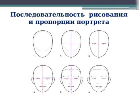 Схема рисования портрета в старшей группе