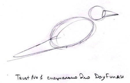 Нарисовать Грача карандашом поэтапно