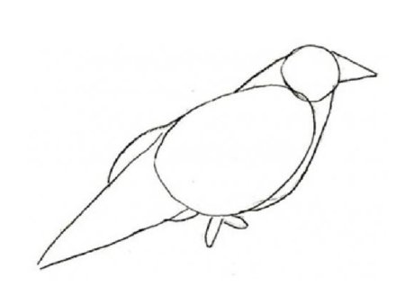 Ворона поэтапное рисование для детей