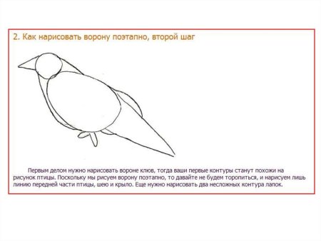 Схема рисования ворона