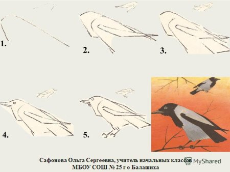 Схема поэтапного рисования вороны для детей