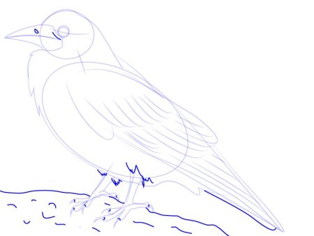 Грач карандашом