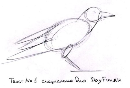 Нарисовать Грача карандашом