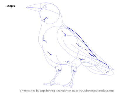 Нарисовать ворону поэтапно