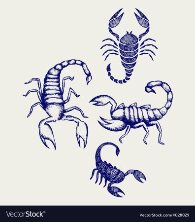 Скорпион для срисовки