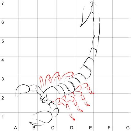 Поэтапное рисование скорпиона