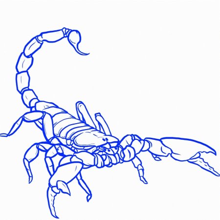 Скорпион для рисования
