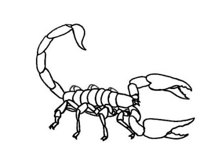 Скорпион рисунок для детей поэтапно (42 фото)