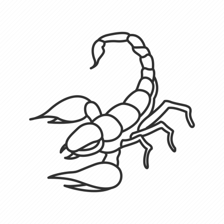 Рисование скорпиона для детей