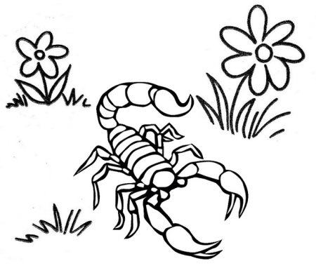 Ребенок Скорпион