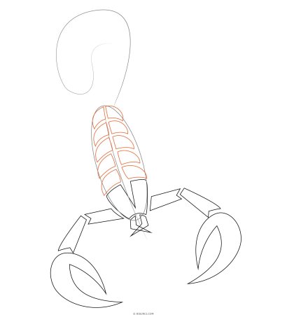 Поэтапное рисование скорпиона