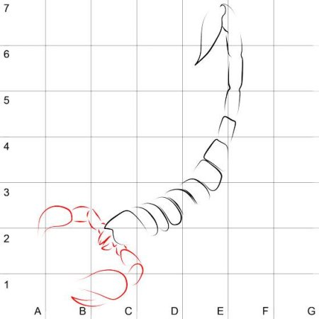 Как рисовать скорпиона шаг за шагом