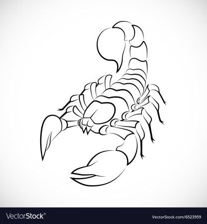 Скорпион рисунок карандашом