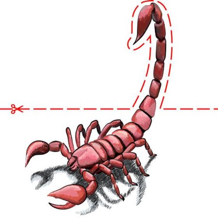 Нарисовать два скорпиона