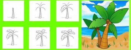 Как нарисовать пальму легко
