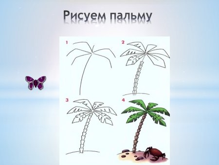 Поэтапное рисование пальмы