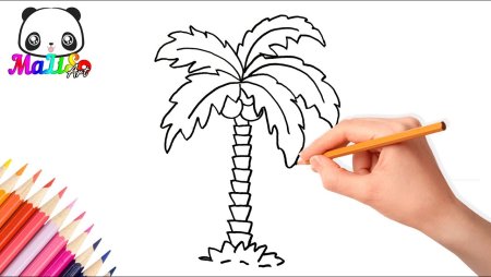 Поэтапное рисование пальмы
