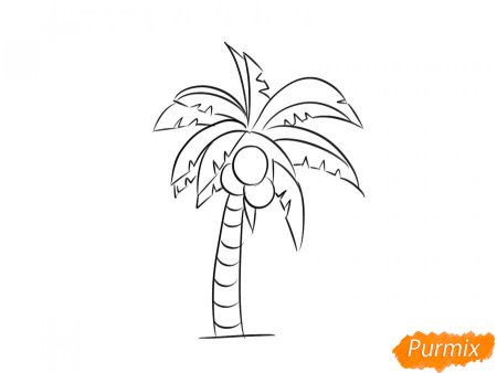 Пошаговый рисунок пальмы